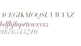 DietDidot Title W03 Italic