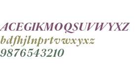 Parnaso Small Trial Bold Italic