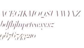 WTF Didot Test Book Italic 144