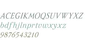 Felina SerifLight Italic