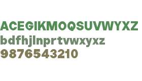 Copyright Bolditalic Studio Polyplast ExBd Trial