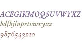 Test_Arlt Gris Italica