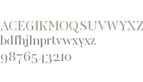 AWConqueror Std Didot