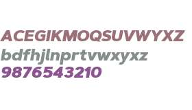 ArtegraSans-BlackItalic