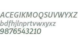 Ebony W01 SemiBold Italic