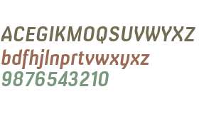 Milibus Rg Bold Italic