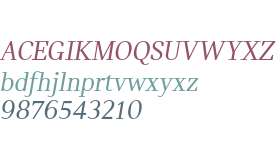 MINI Serif Italic