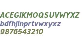 Finador Black Oblique