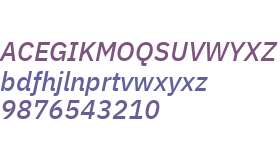 IBM Plex Sans Medium Italic