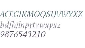 Runa Serif Std Light Italic