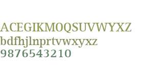 Rotis Serif W01 Bold