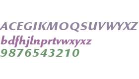 Linex Sans W01 Bold Italic