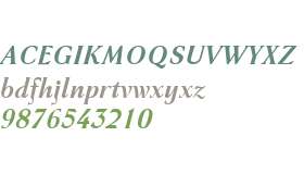 Haverj W01 Bold Italic