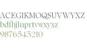 Ponte TRIAL SilkType Light