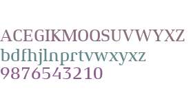 Xenois Serif W01 Medium