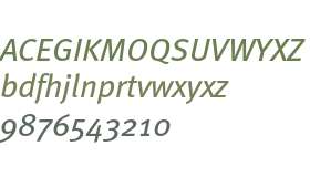 MetaBookTurk-Italic