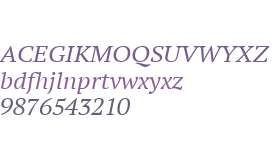 PT Serif W01 Extended Italic