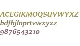 Carter Sans W04 SemiBold Italic