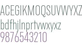 Blackbird Test Condensed Extra Light