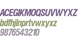 NimbusSanPCon Bold Italic
