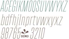 FSP DEMO - Andove Thin