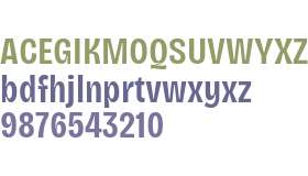 Bricolage Grotesque 12pt Condensed SemiBold