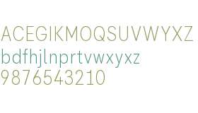 Flink Neue Text Cmp Test Light