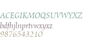 Calligraph810 BT Italic