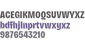 Bricolage Grotesque 10pt Condensed ExtraBold