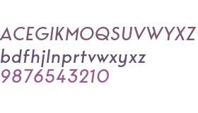 Bergen Sans Italic