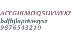 Linex Sans Std Bold Italic