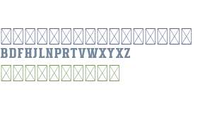 Varsity Signature Slab Serif