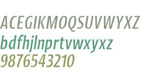 Picador Sans Test Italic