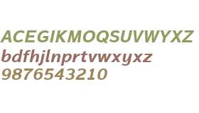 Magnum Sans W01 Bold Italic V2