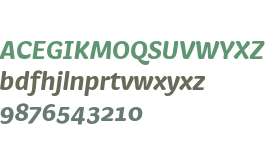 FS Pimlico Web Bold Italic
