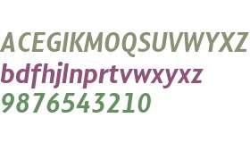 Compasso Condensed Test Condensed