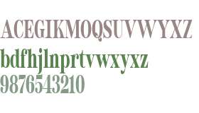 Ponita Serif