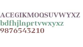 Xenois Serif W01 Bold