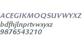 Linex Sans W01 Italic