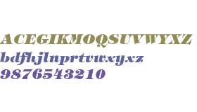 PL TimpaniHeavy Italic:001.003