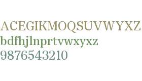 Copyright Bolditalic Studio Dentegra Display Trial