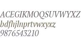 PT Serif W01 Narrow Book Italic