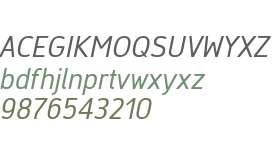 Finador Regular Oblique