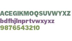 Trial-Jouter Sans Black