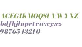 Bodoni* 48 Fatface Italic