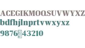 Neuvos Condensed Test