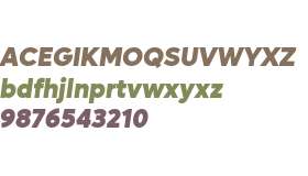 Lufga Black Italic