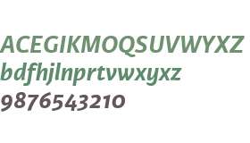 Karmina Sans W02 Bold Italic