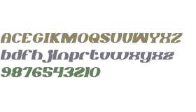 MONOCHROME Bold Italic