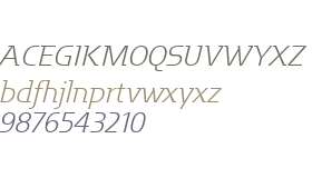 Motter Factum W01 Light Italic